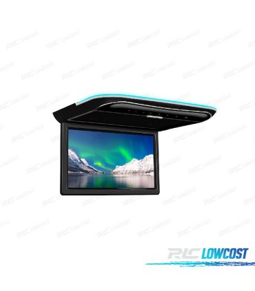 ECRAN DE TOIT FULL HD DE 11.6 "