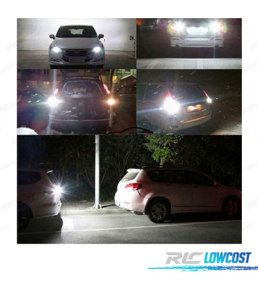 DEUX AMPOULES LED BA15S CANBUS LUMIÈRE BLANCHE