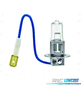 AMPOULE H3 12V 55W
